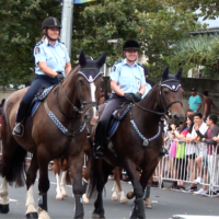 police3