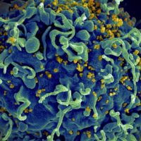 hiv virus