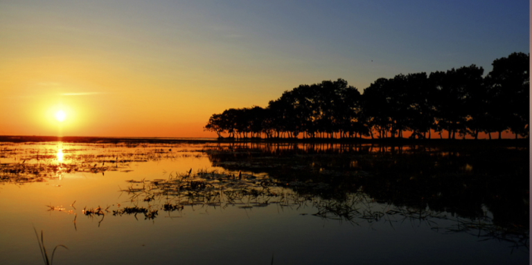 Opinion: What would it take to have a good life?