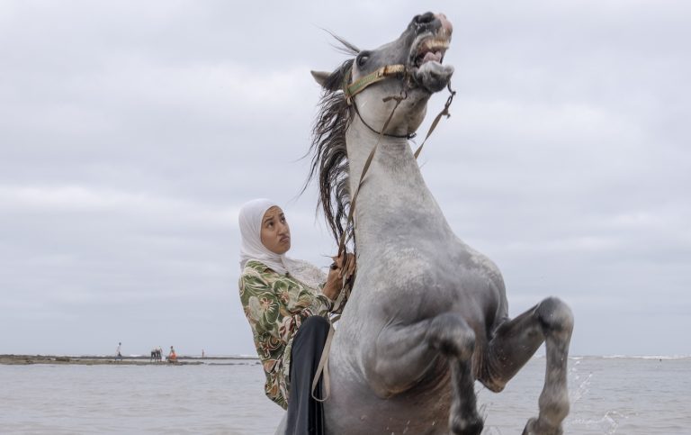 Event: World Press Photo Exhibition – Jun/Jul 2026